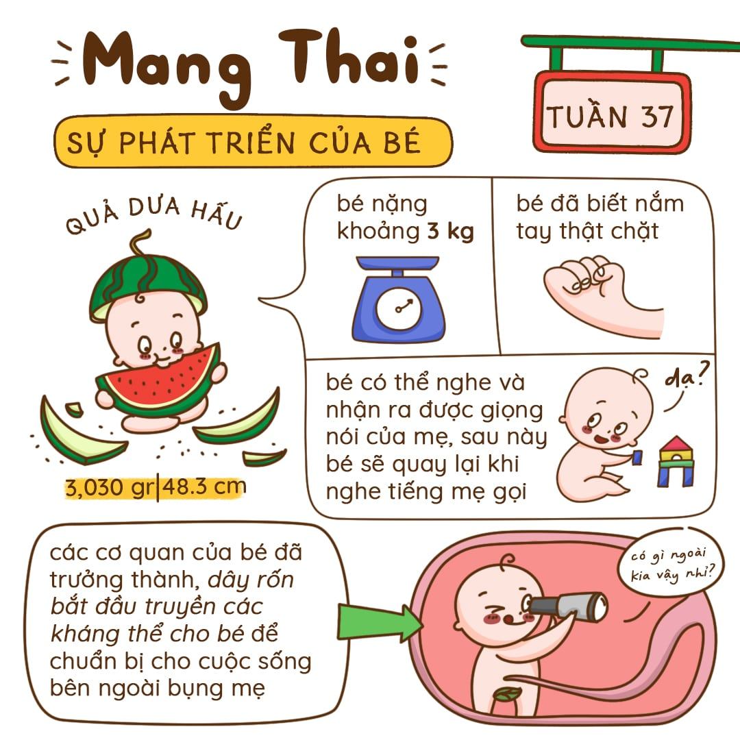 Kiến Thức Mang Thai Tuần 37