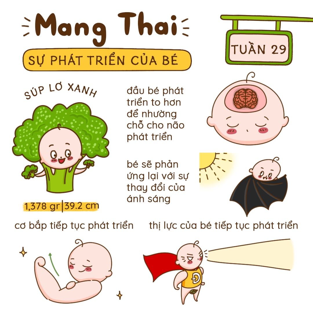 Kiến Thức Mang Thai Tuần 29