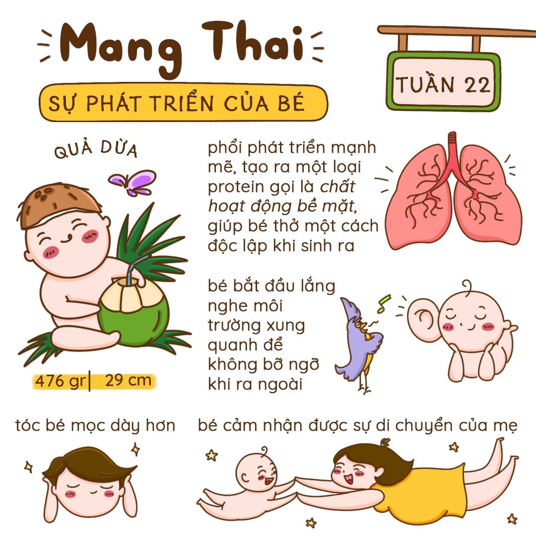 Kiến Thức Mang Thai Tuần 22