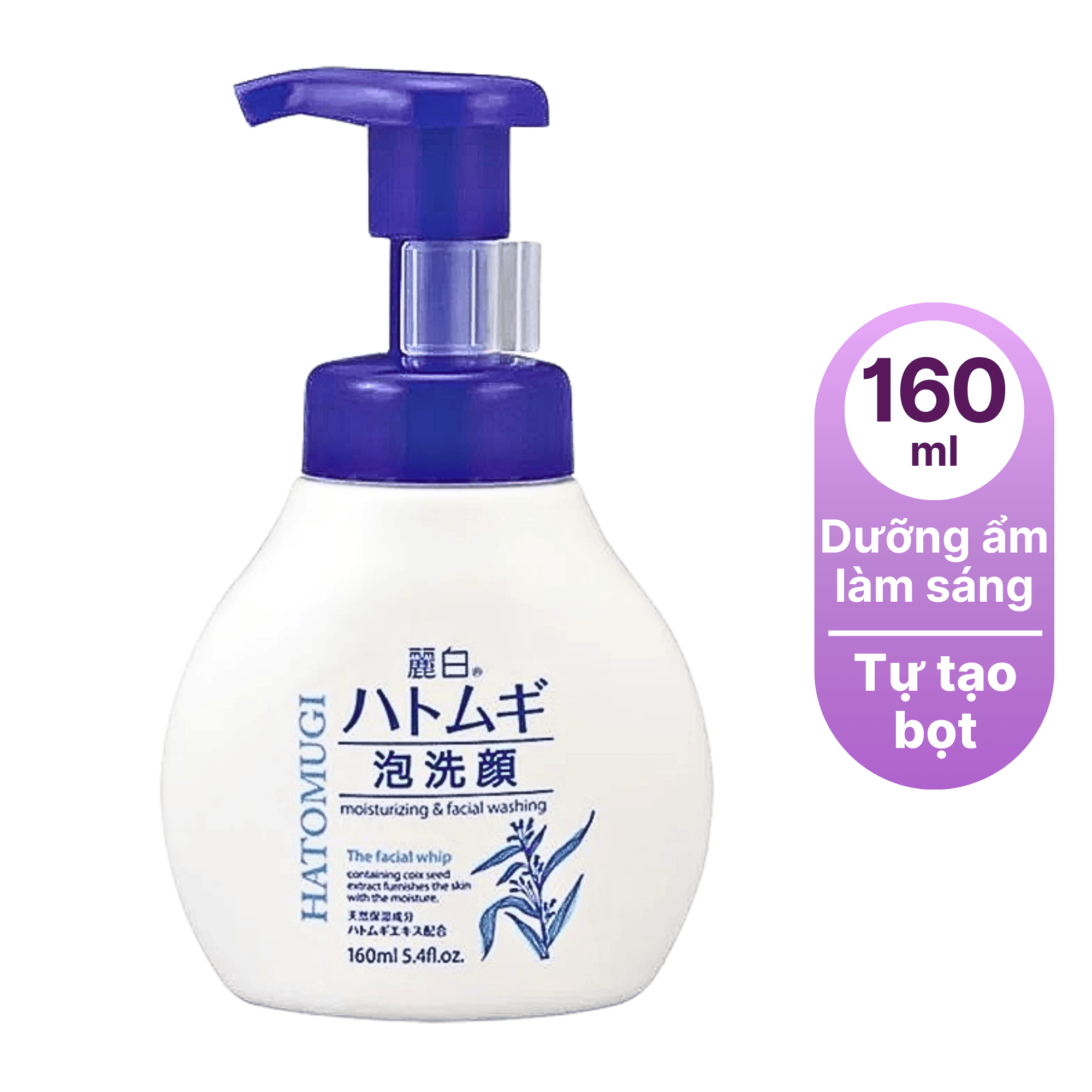 Bản sao của Bản sao của Thêm tiêu đề phụ (61).png