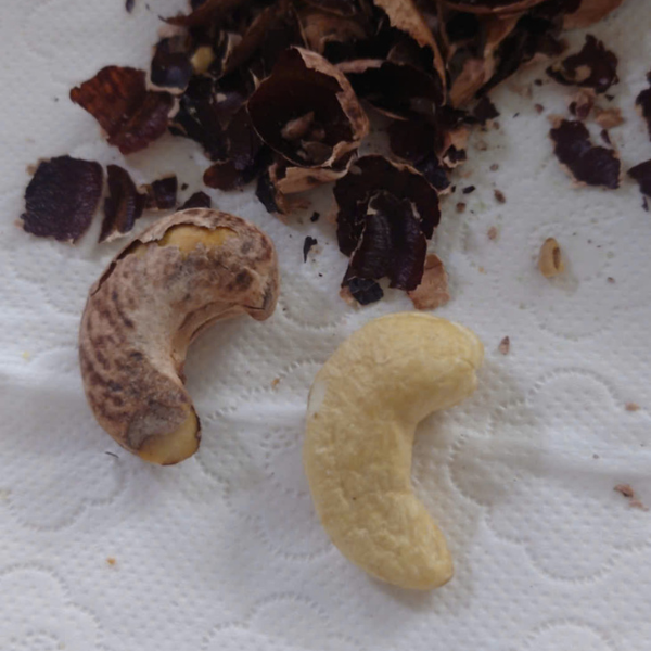 Review-thuc-te-Hat-dieu-Vigonuts-dat-chuan-OCOP-5-sao-co-thuc-su-ngon--6.png