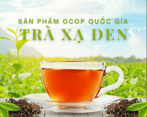 Banner nhỏ bên phải banner chính