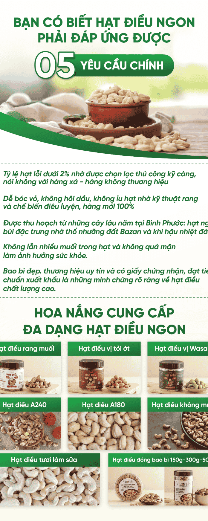 Hạt Điều Bình Phước OCOP 5 Sao - Ngon nhất Thế Giới