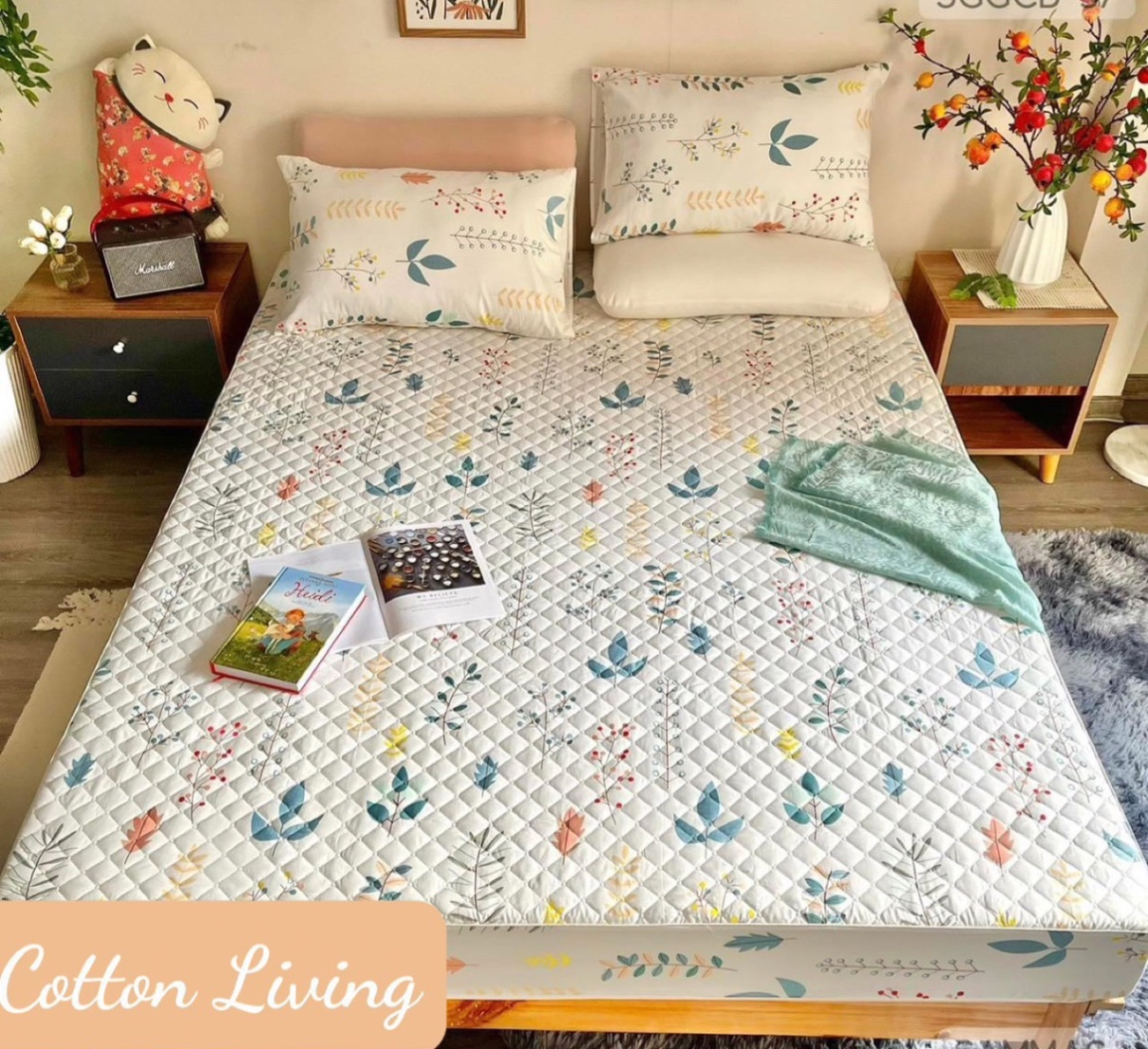 Bộ ga trần + 2 vỏ gối cotton living mẫu cỏ ba lá