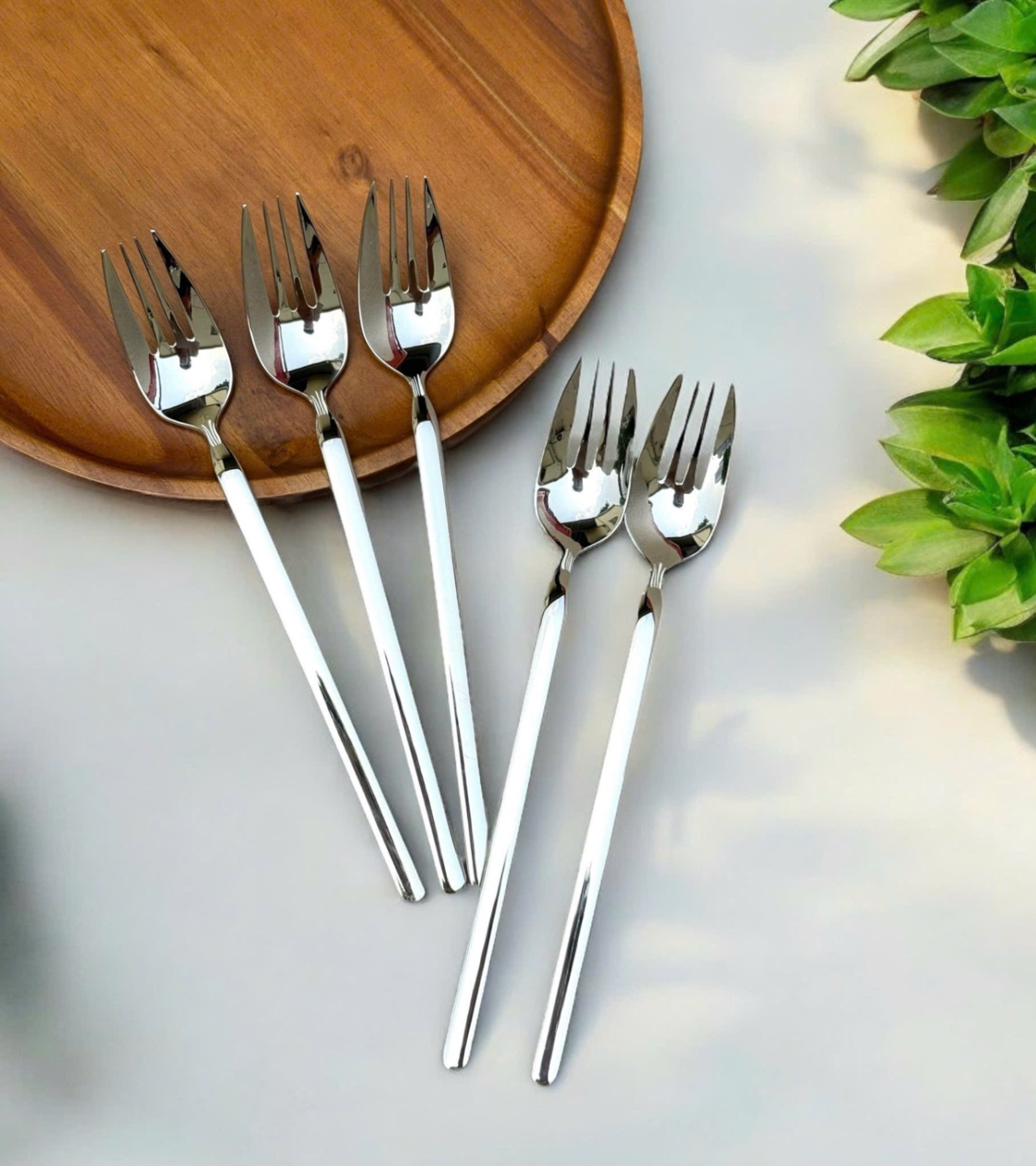 Hộp 5 dĩa to inox 304 La Cuisine 21cm