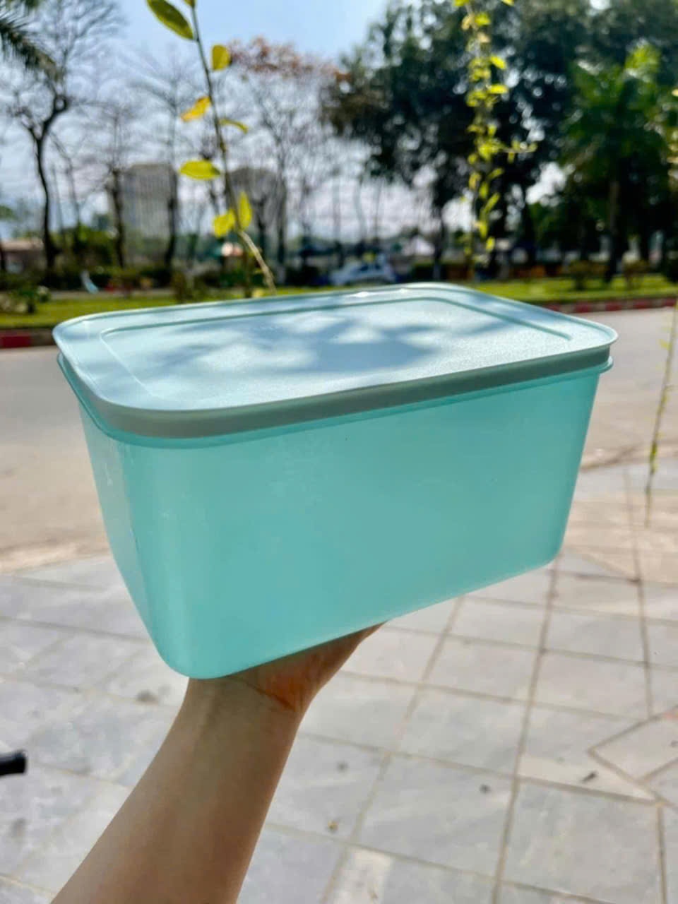 Hộp đông dẻo Tupperware 2.5L