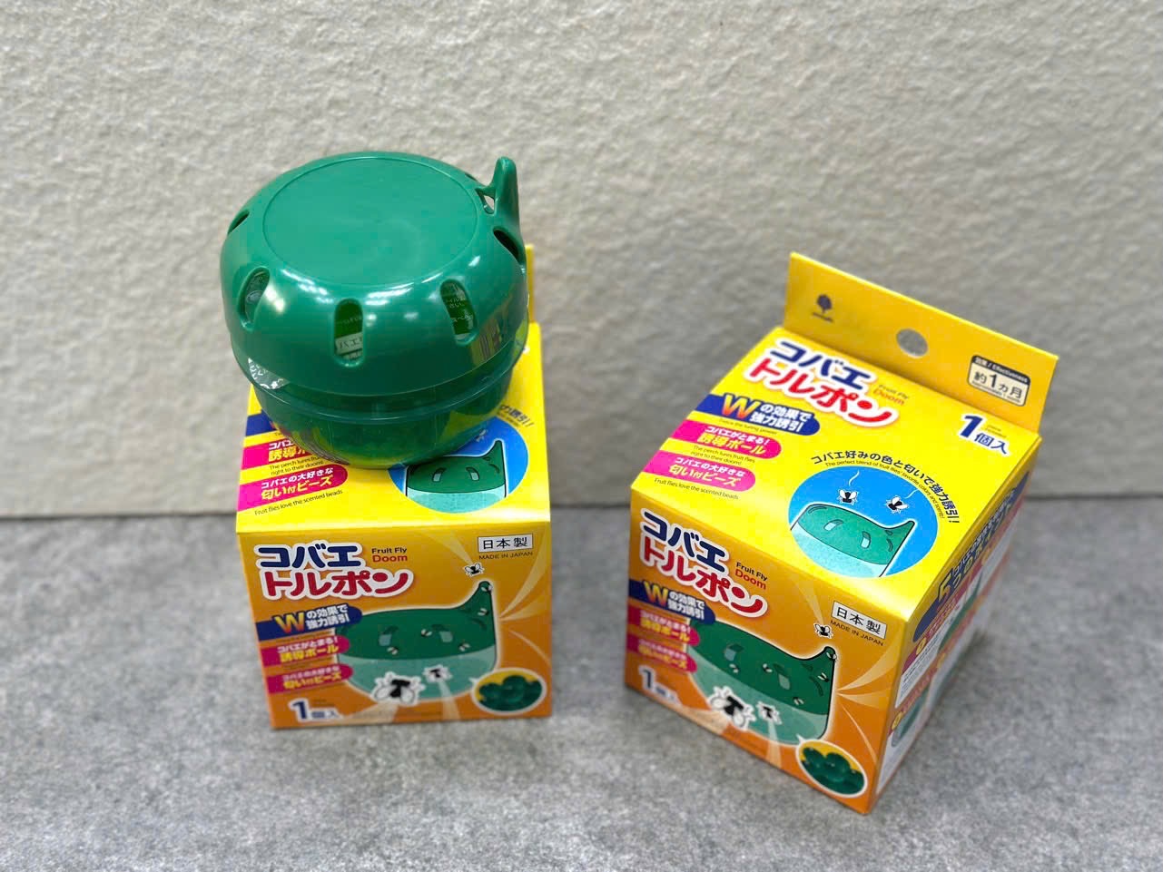 Hộp bắt ruồi dấm Nhật Bản