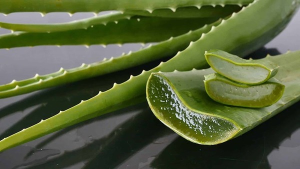 Nha đam chứa nhiều hàm lượng vitamin A,C,E