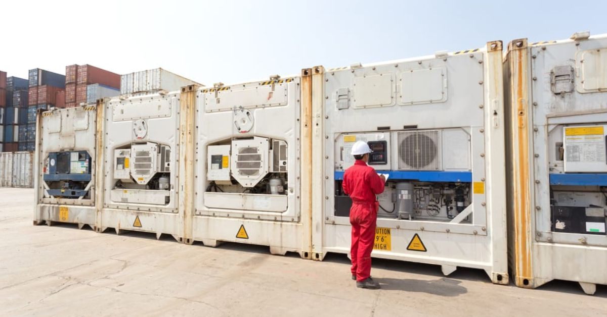 Dịch vụ cắm điện container lạnh