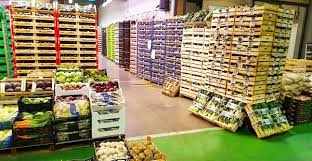 -CÔNG TY CỔ PHẦN MEGAFARM-