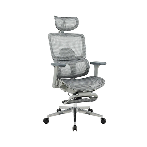 Ghế Công Thái Học GLE21 (G)