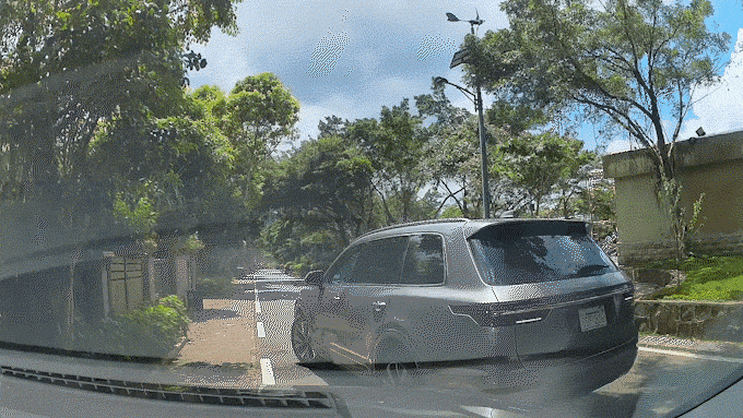 20250419_NmDWSRJH.gif