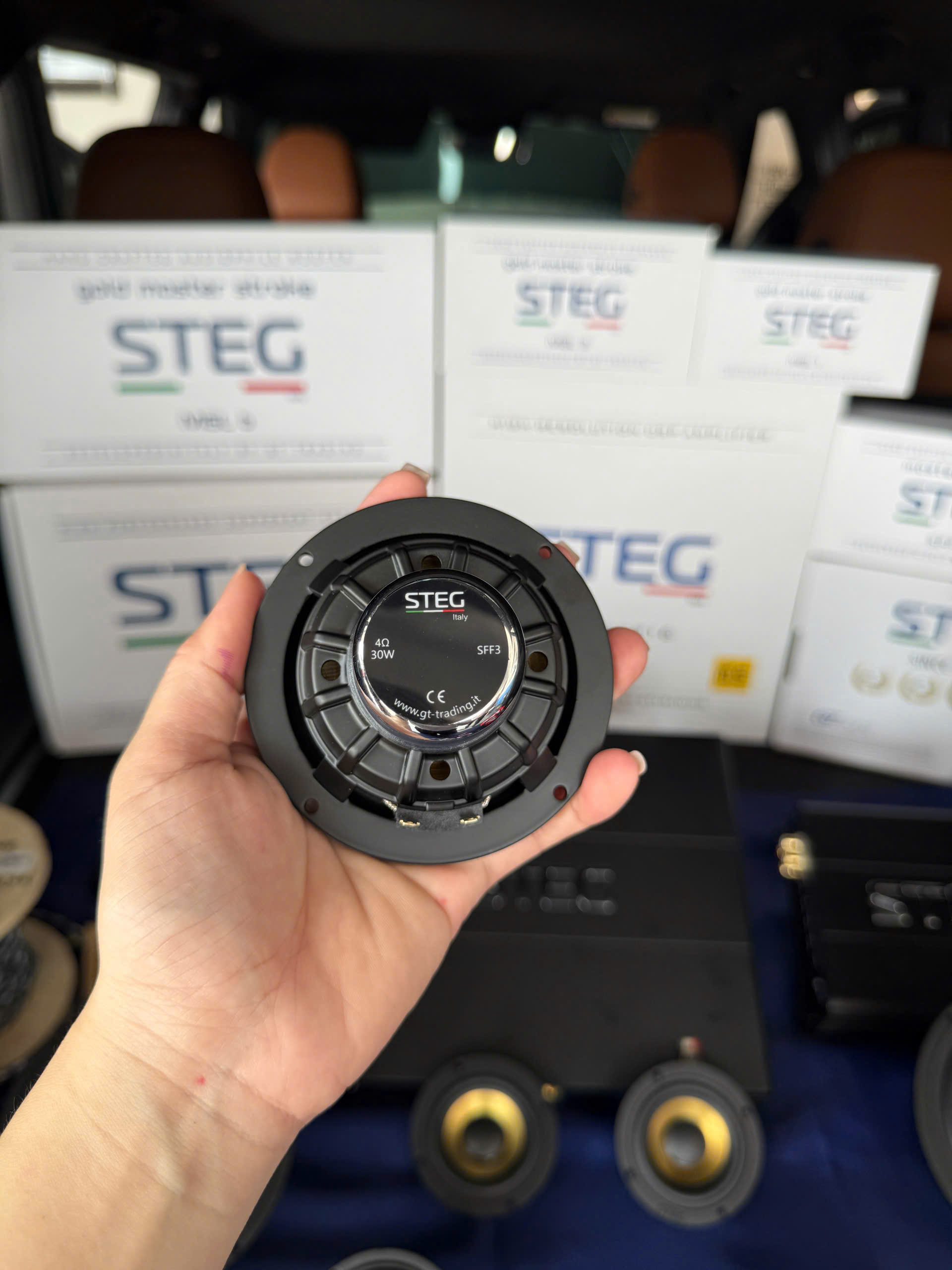 Mid-treble STEG SFF3 cho VF9