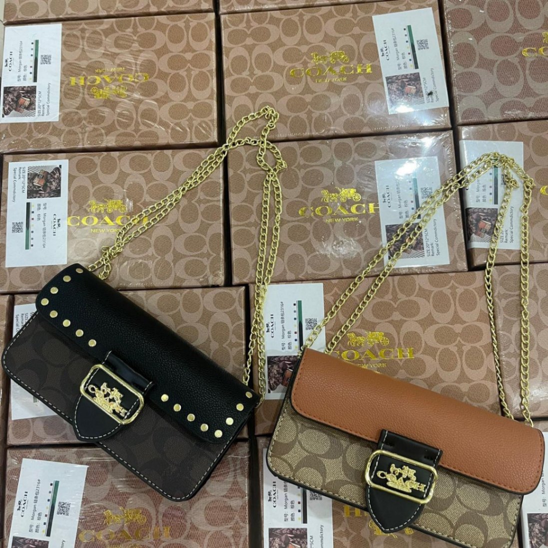 Túi Coach 2 Màu Full Box