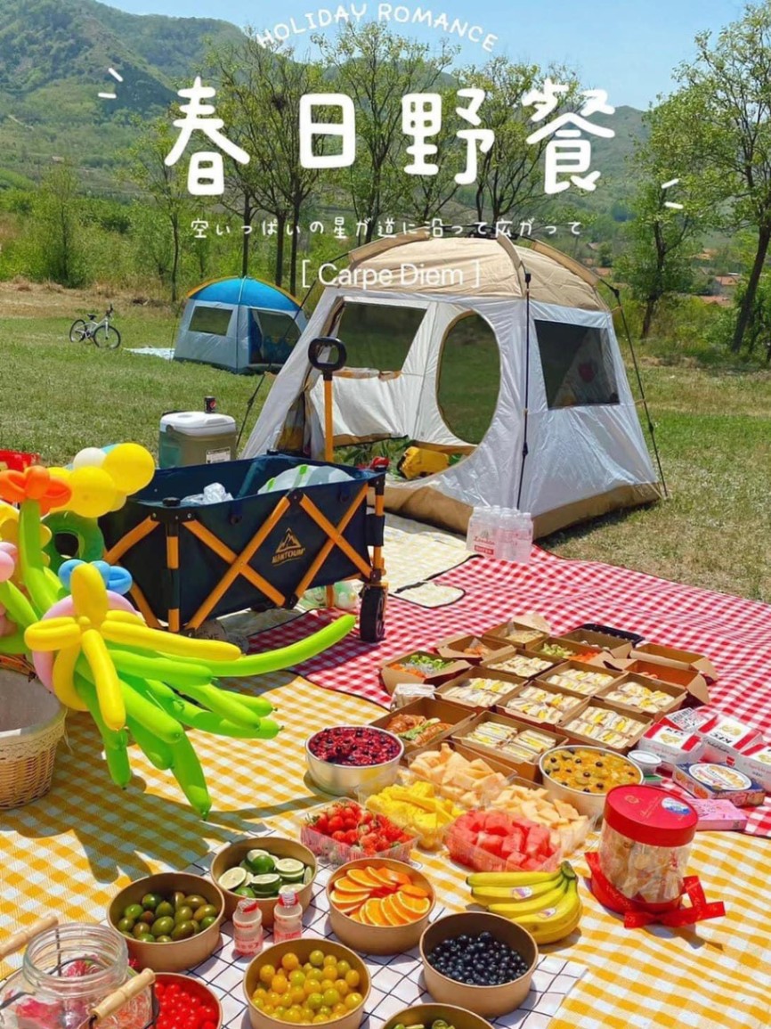 Thảm Picnic Gấp Gọn