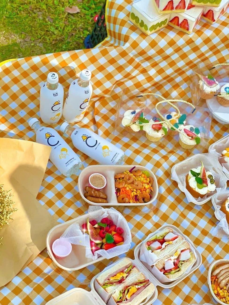 Thảm Picnic Gấp Gọn