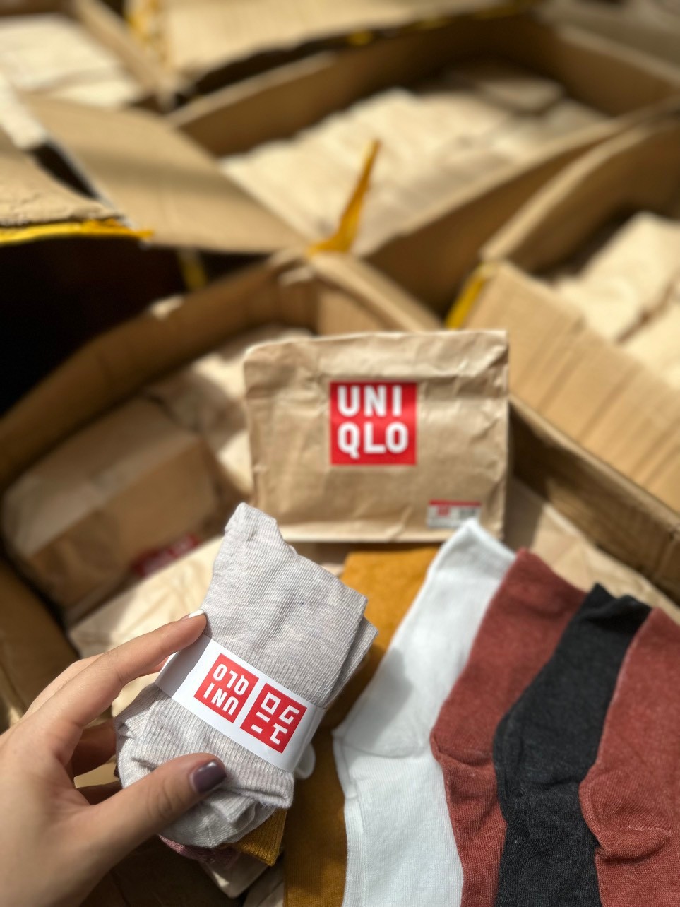 Set Túi 5 Tất Uniqlo