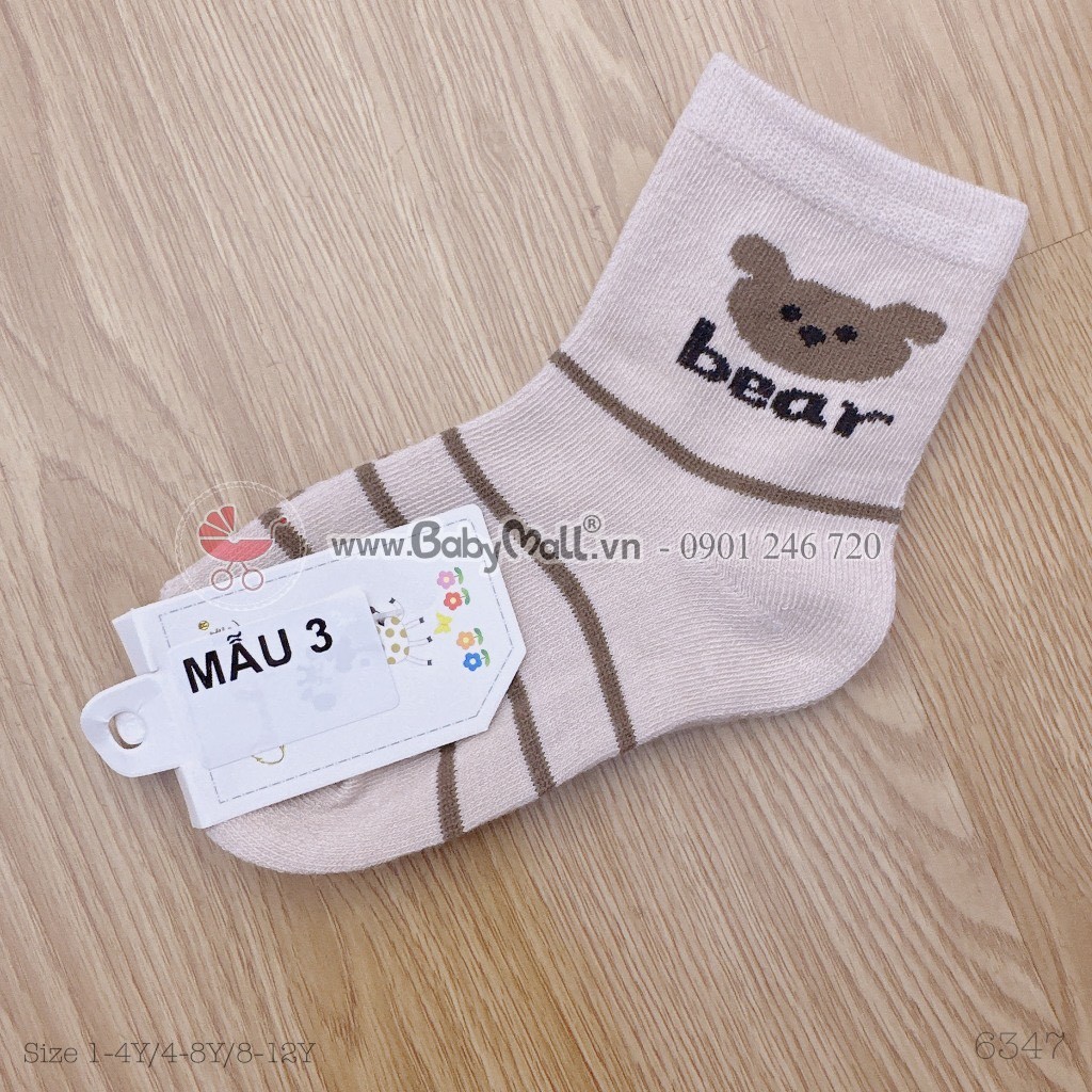 Sét 10 Tất Gấu Bear