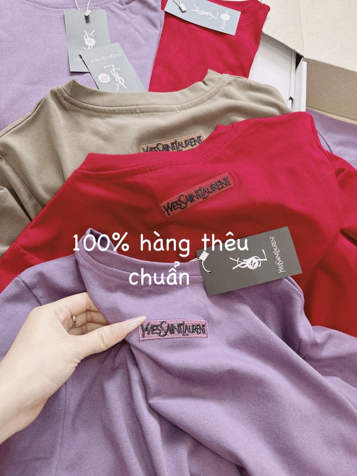 Áo Phông Trơn YSL 3 Màu