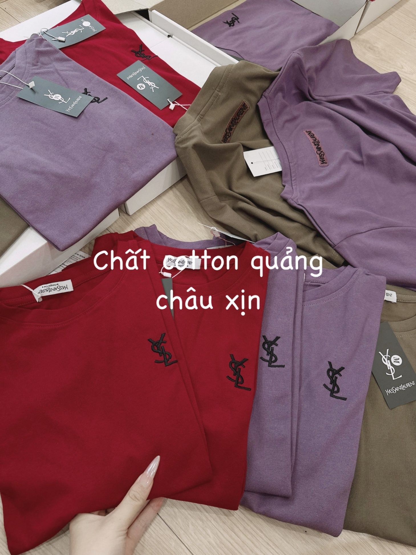 Áo Phông Trơn YSL 3 Màu