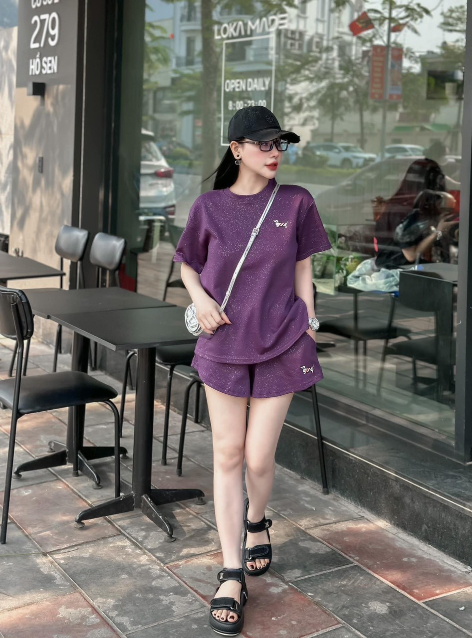 Bộ Cộc Nhũ In Chó 4 Màu