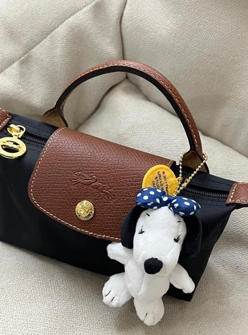 Túi Longchamp Tuồn Xanh Đen