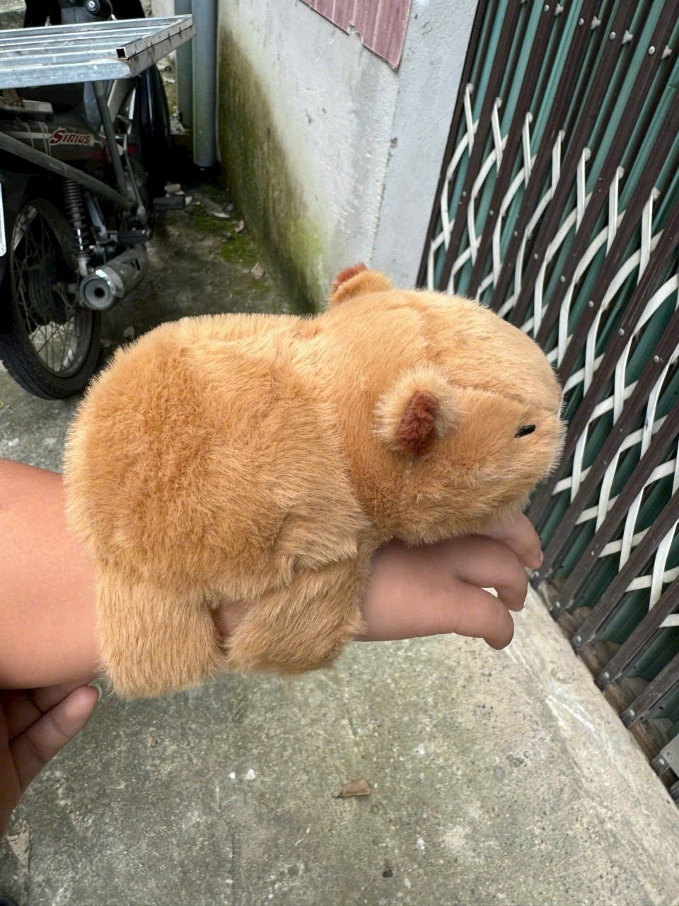 Thú Bông Capybara Dễ Thương