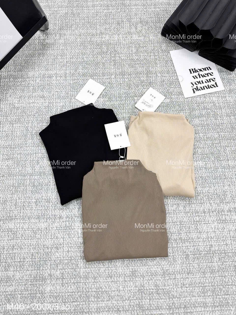 Set 3 Áo Tăm Cổ 3 Phân