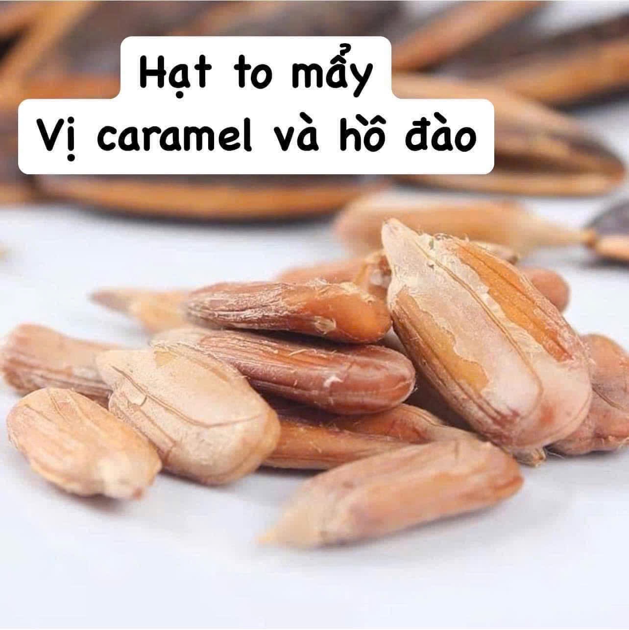 HƯỚNG DƯƠNG TẨM VỊ CARAMEN