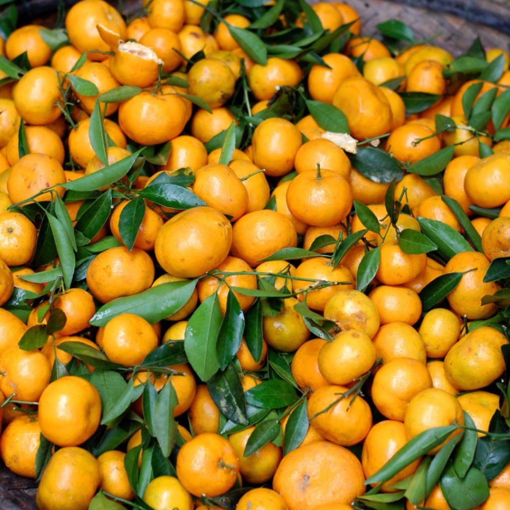 Clementine – Trái Cây Vàng Giàu Vitamin C và Chất Xơ