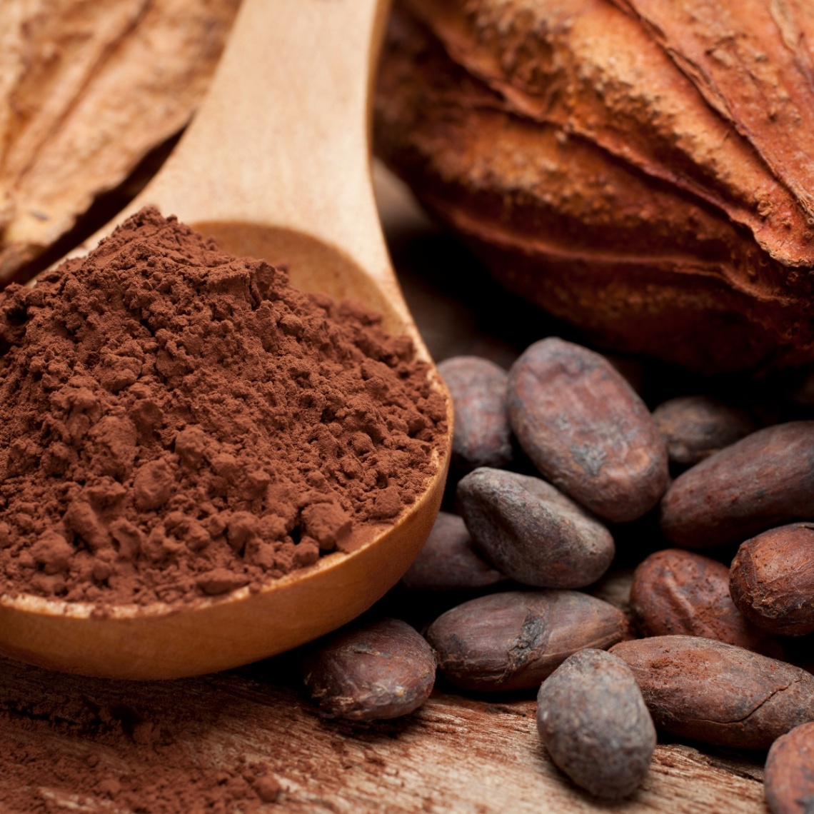 Nguồn Gốc và Lợi Ích Của Cacao | Tìm Hiểu Lịch Sử & Công Dụng