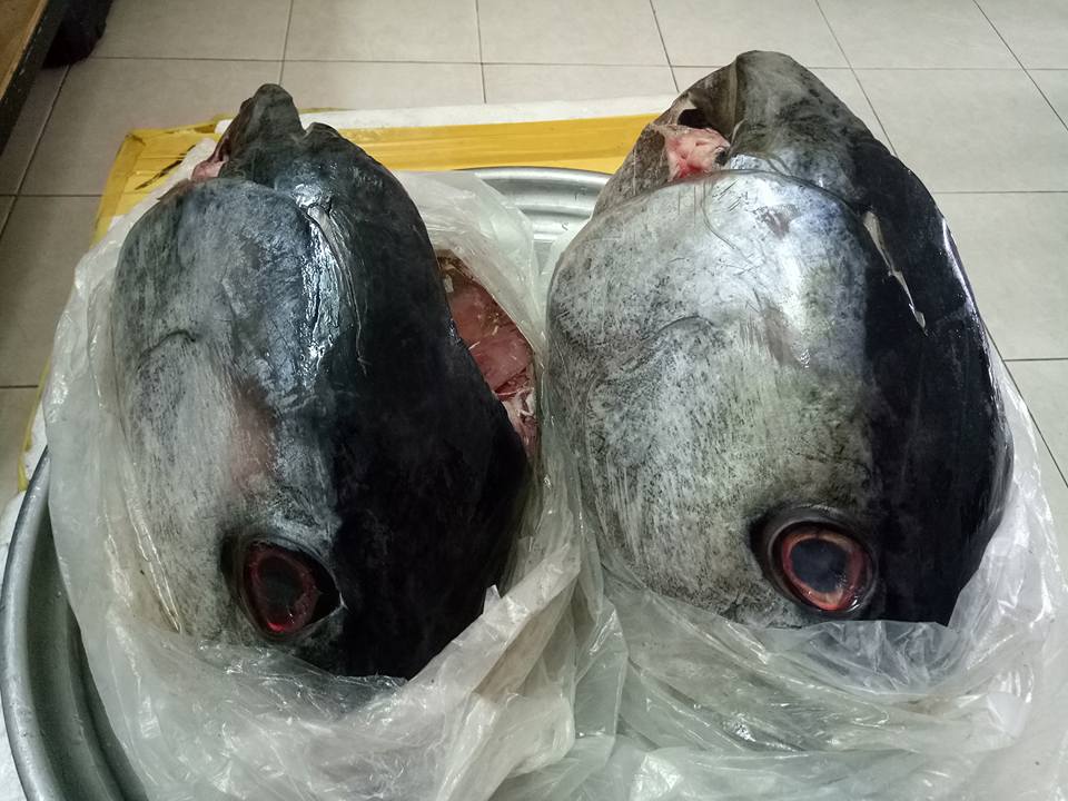 Đầu cá ngừ mua khoảng 1,5 kg