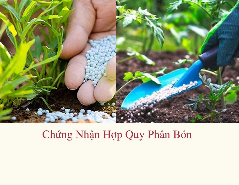 chứng nhận hợp quy phân bón