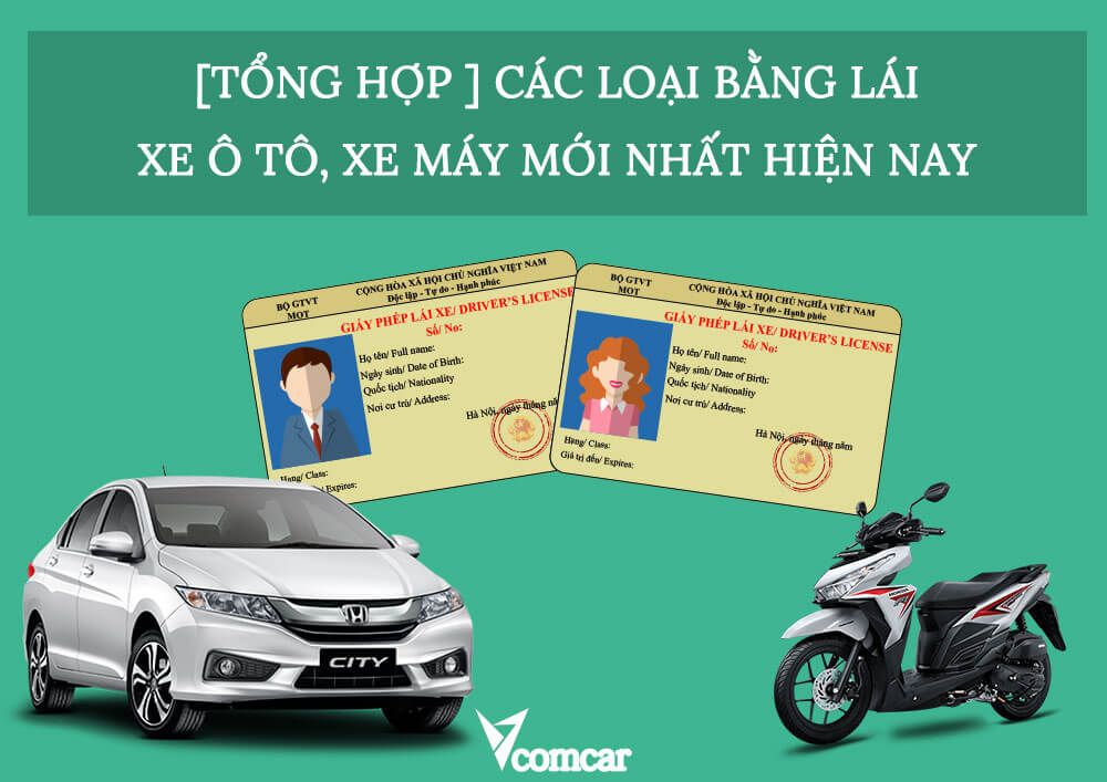 [TỔNG HỢP ] Các loại bằng lái xe ô tô, xe máy mới nhất hiện nay