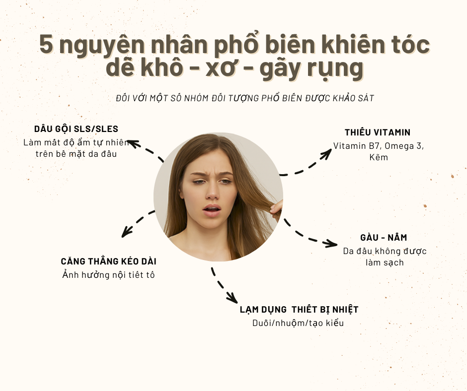 Top-5-Nguyen-Nhan-Khien-Toc-Gay-Rung-Nhieu-Va-Cach-Hoi-Phuc-Tu-Goc-2.png