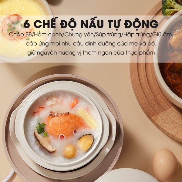 Nồi nấu chậm nấu cháo, ninh, hầm, chưng yến 6in1 SAMONO SW-SCB08 cho bé ăn dặm