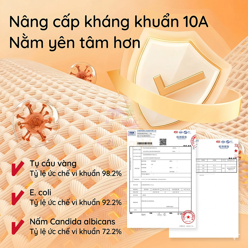 Nôi ngủ chung giường cho bé sơ sinh hoạ tiết cổ tích cao cấp thiết kế mô trong bụng mẹ chống giật mình, chống đè nhầm, định hình đầu & cột sống cho bé từ 0-12 tháng