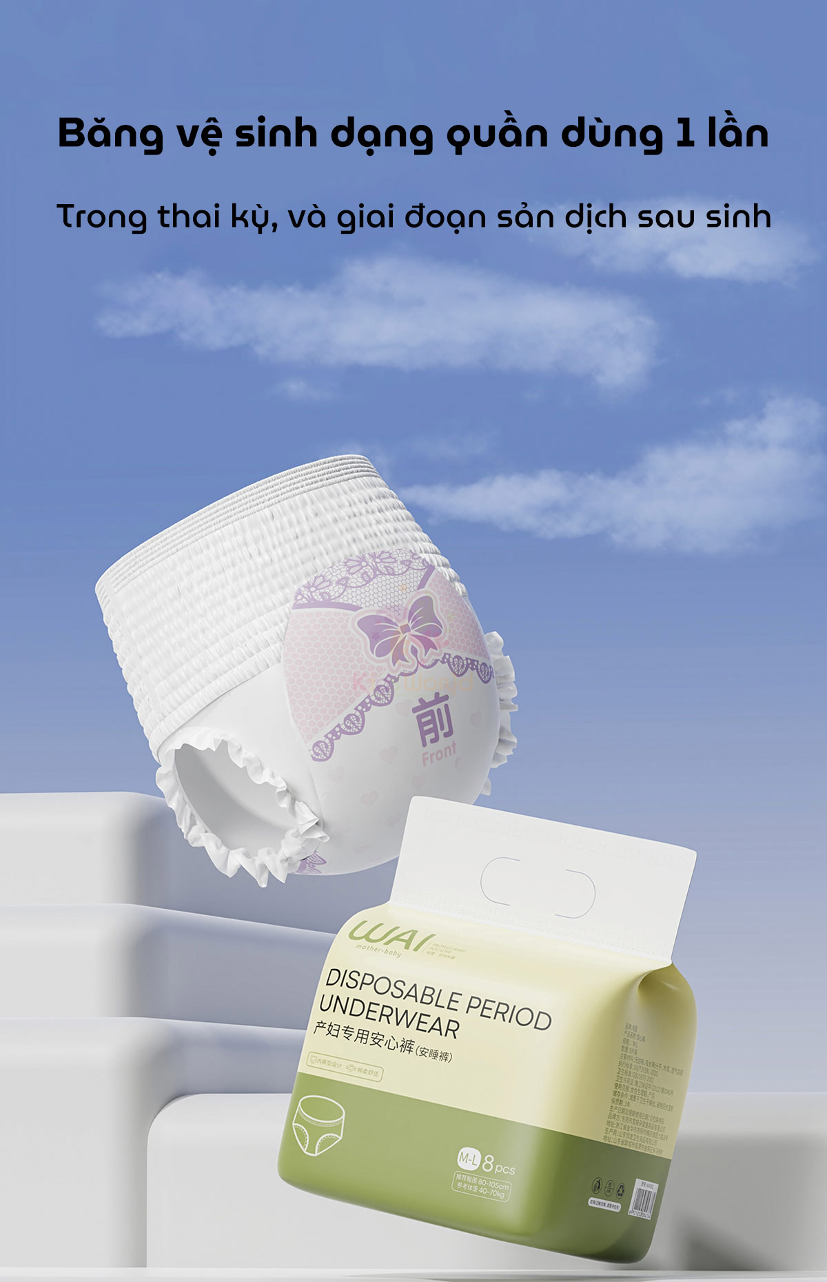 Ba-ng-ve-sinh-da-ng-qua-n-dung-1-lan-Wai-Disposable-Period-Underwear-cho-me-bau-sau-sinh_1.jpg