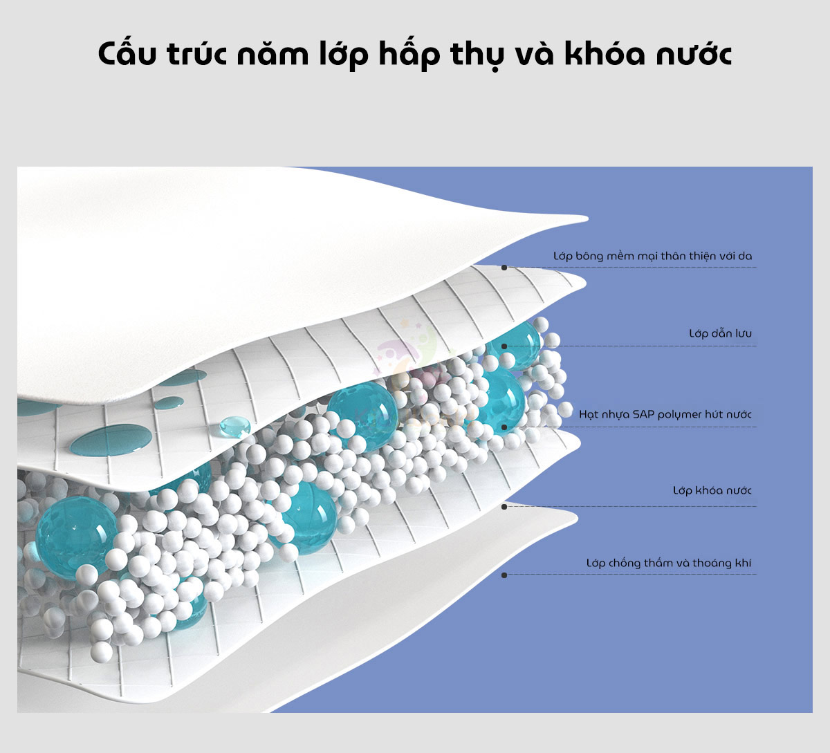 Ba-ng-ve-sinh-da-ng-qua-n-dung-1-lan-Wai-Disposable-Period-Underwear-cho-me-bau-sau-sinh_11.jpg