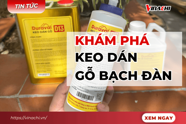 [Review] 2 loại keo dán gỗ bạch đàn tốt và phù hợp nhất