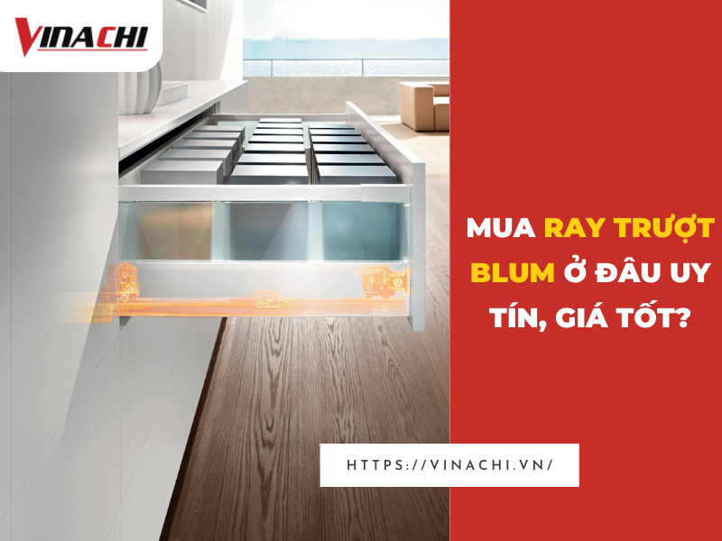 Ray trượt Blum