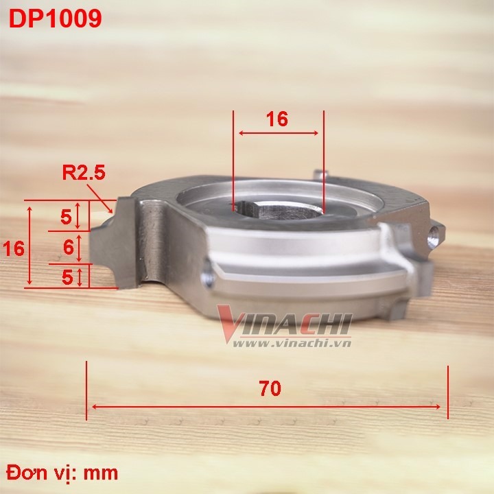 DP1009 - 70*16*H16*3T*R2.5