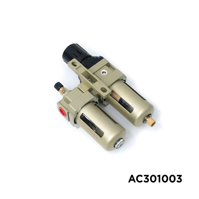 AC301003 (2).jpg