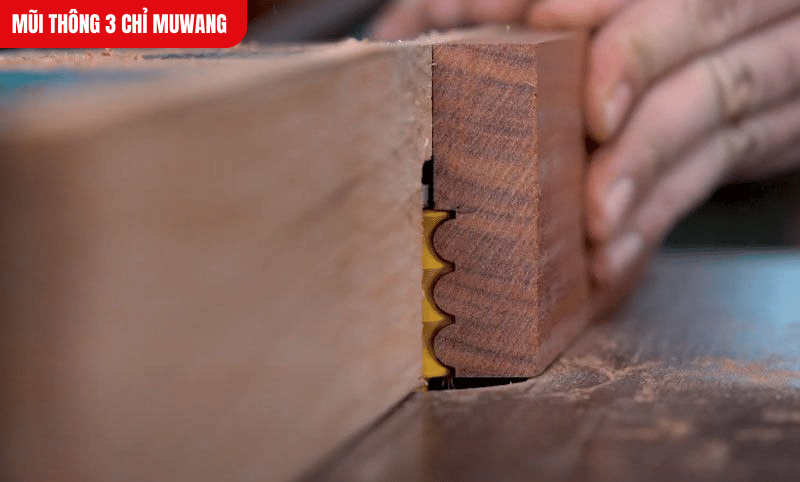 Lưỡi hợp kim tạo đường soi mịn màng