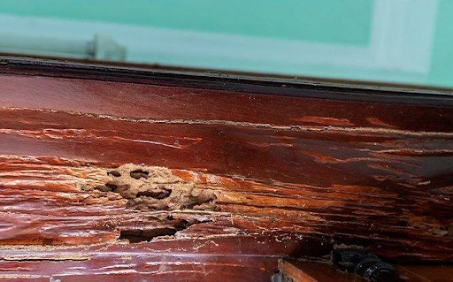 Sửa cửa gỗ bị vênh do gỗ kém chất lượng