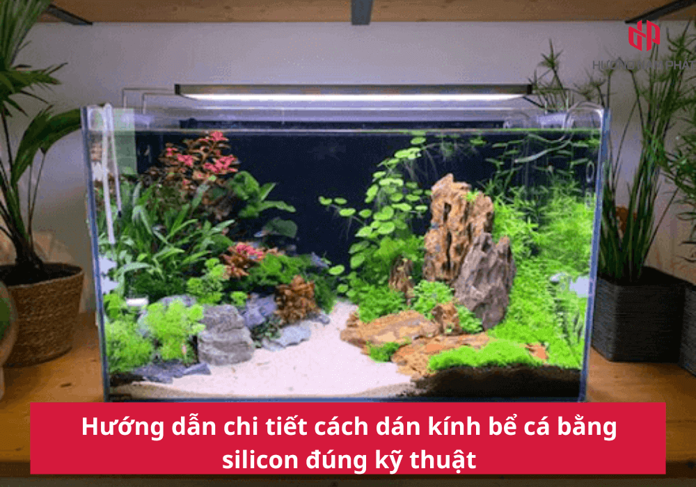 Hướng dẫn chi tiết cách dán kính bể cá bằng silicon đúng kỹ thuật