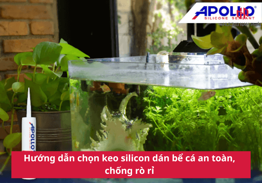 Hướng dẫn chọn keo silicon dán bể cá an toàn, chống rò rỉ