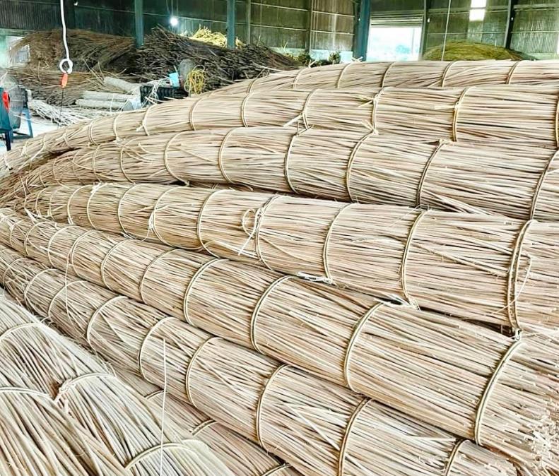 Ron mây tự nhiên