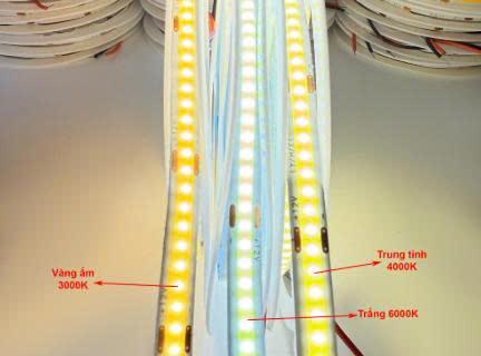 Đèn led COB 252 mắt 12V ( không lộ mắt led) bảng 8mm - cuộn 5M