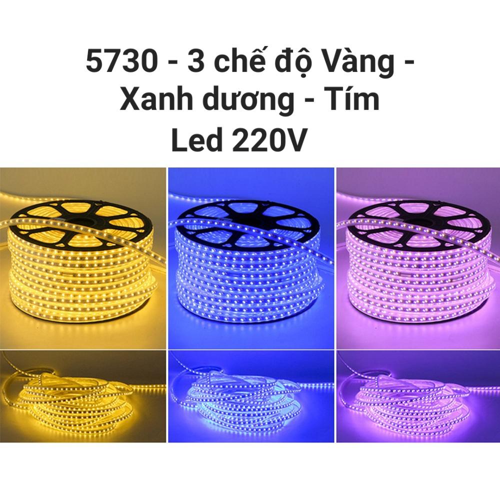 Led 220V 5730 đổi 3 màu Vàng - Xanh Dương - Tím (phủ keo trong) - 100 mét